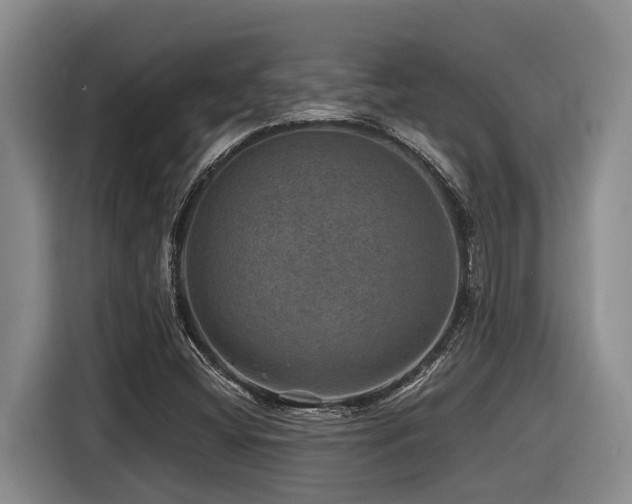 X0000116451404200912081608
