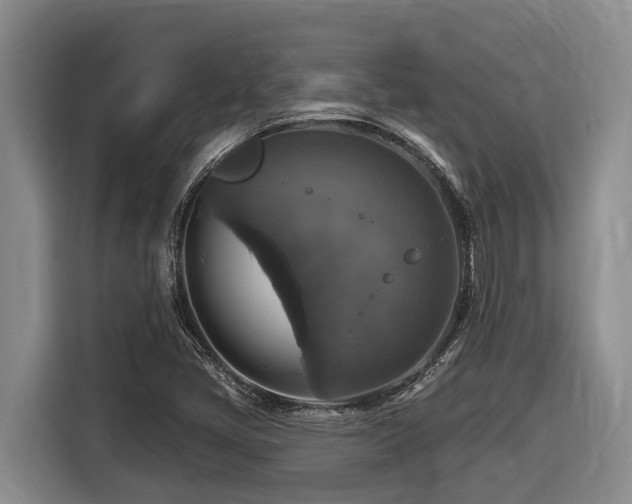 X0000116451405200912081608