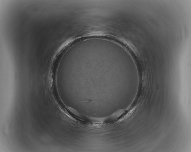 X0000116451406200912081608