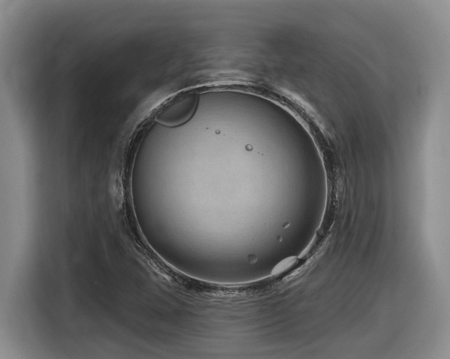 X0000116451407200912081608