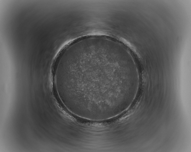 X0000116451408200912081608