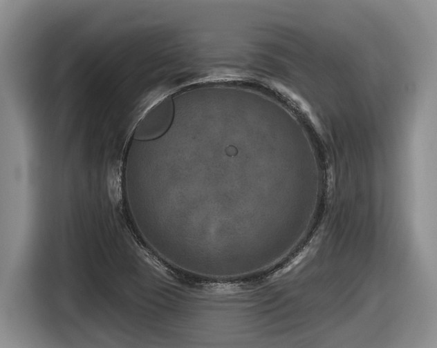 X0000116451409200912081608