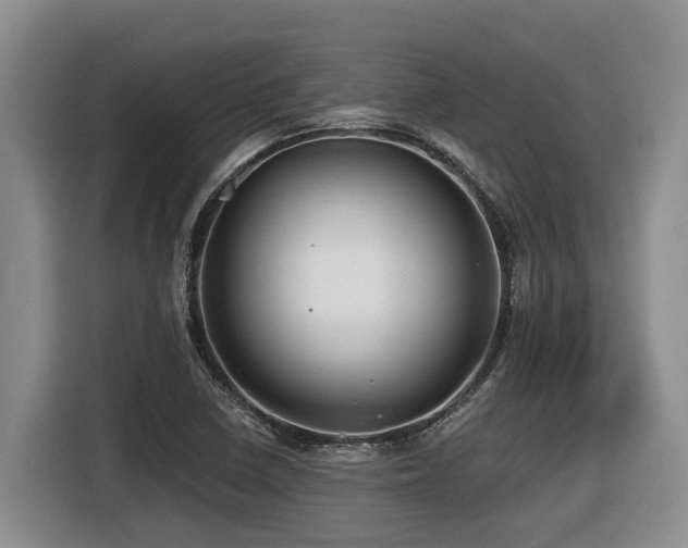 X0000116451410200912081608
