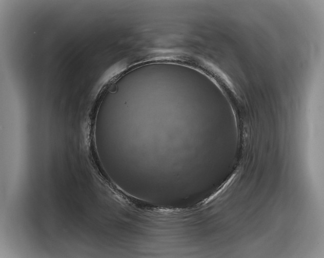 X0000116451411200912081608