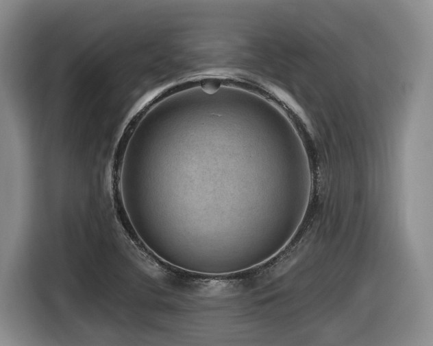 X0000116451412200912081608
