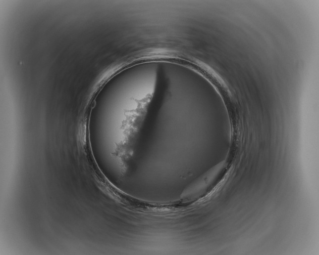 X0000116451413200912081608