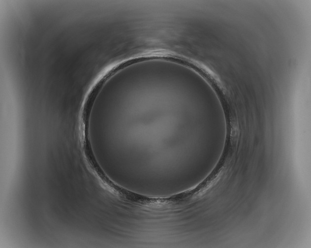 X0000116451414200912081608