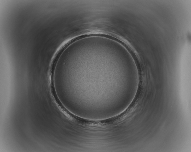 X0000116451416200912081608