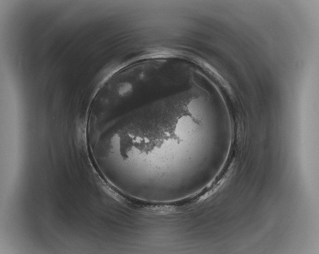 X0000116451417200912081608