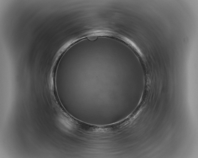 X0000116451419200912081608