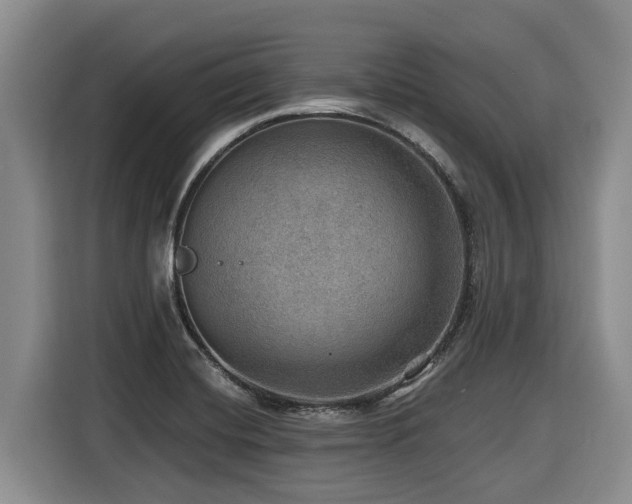 X0000116451420200912081608