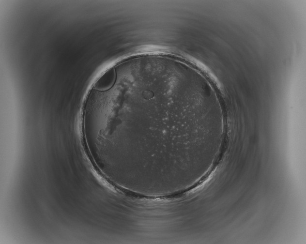 X0000116451421200912081608
