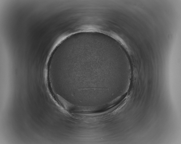 X0000116451424200912081608