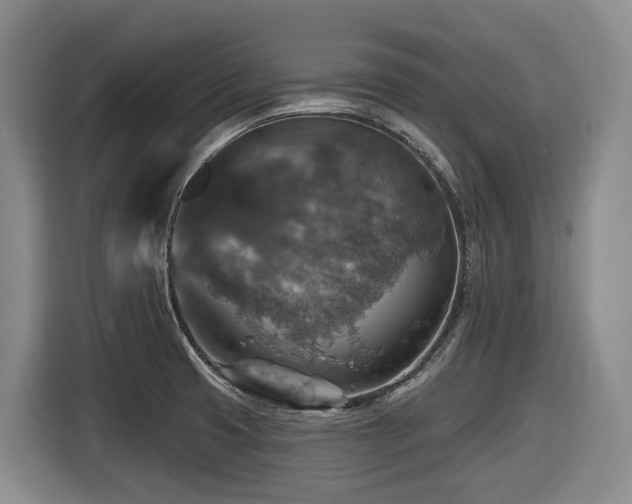 X0000116451425200912081608
