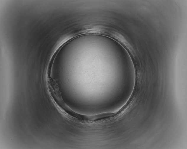 X0000116451426200912081608