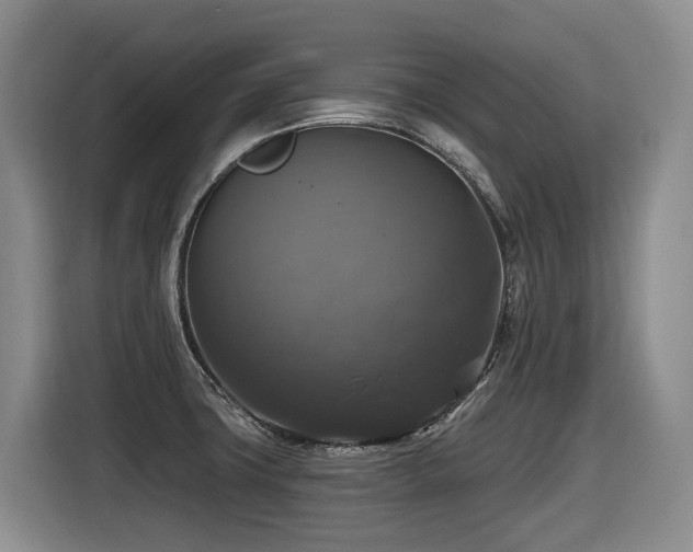 X0000116451427200912081608