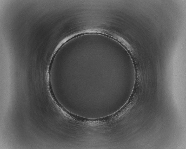 X0000116451428200912081608