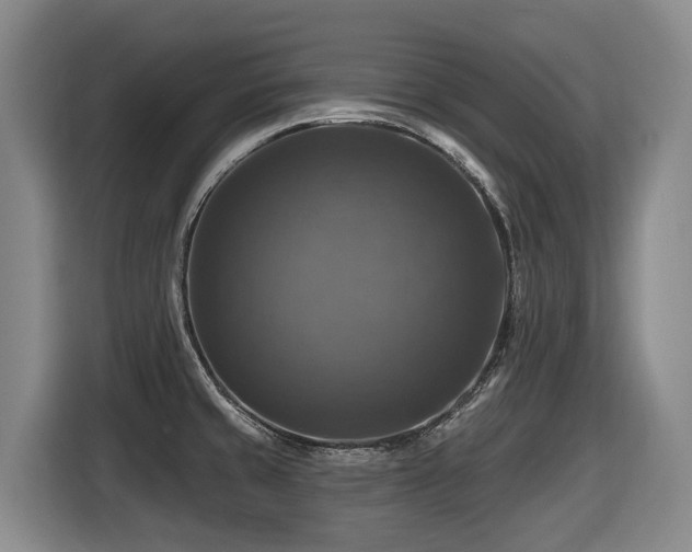 X0000116451429200912081608
