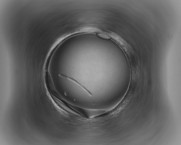 X0000116451430200912081608
