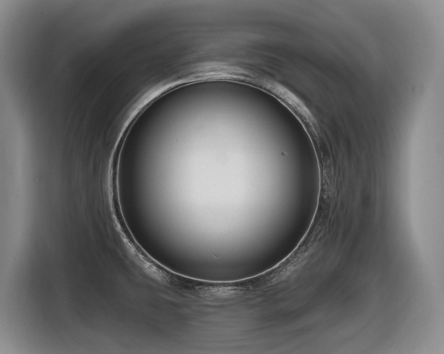 X0000116451431200912081608