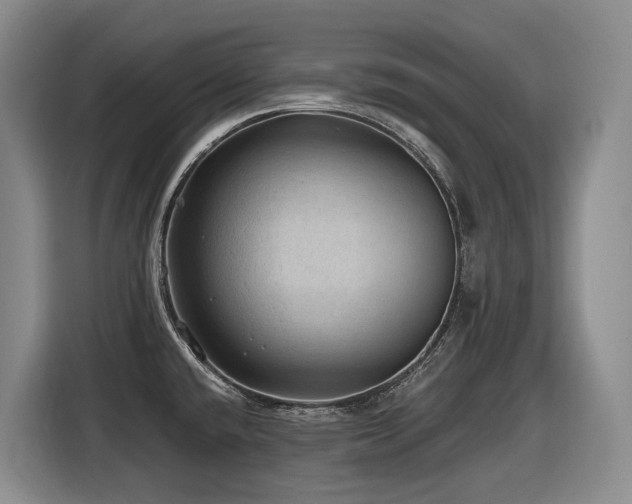 X0000116451432200912081608
