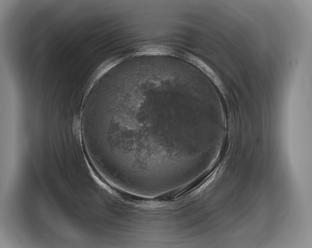 X0000116451433200912081608