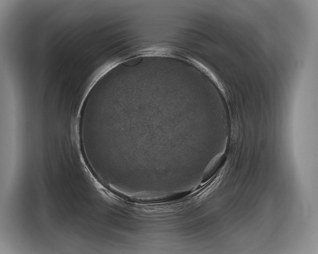 X0000116451434200912081608