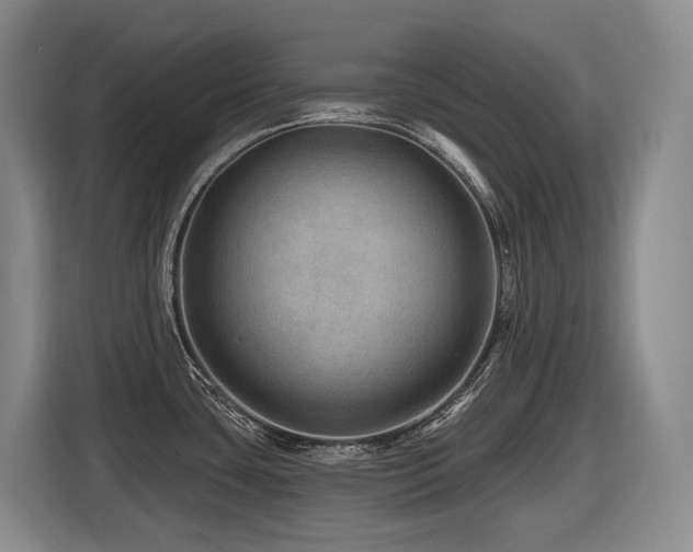 X0000116451435200912081608