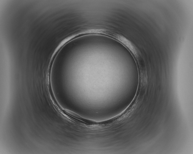 X0000116451436200912081608