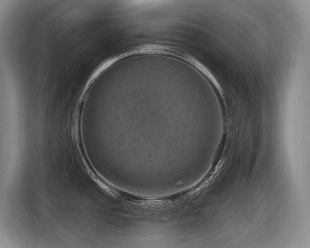 X0000116451437200912081608