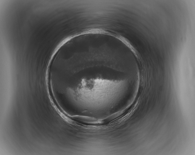 X0000116451438200912081608