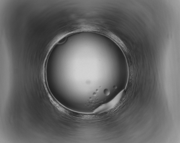 X0000116451439200912081608