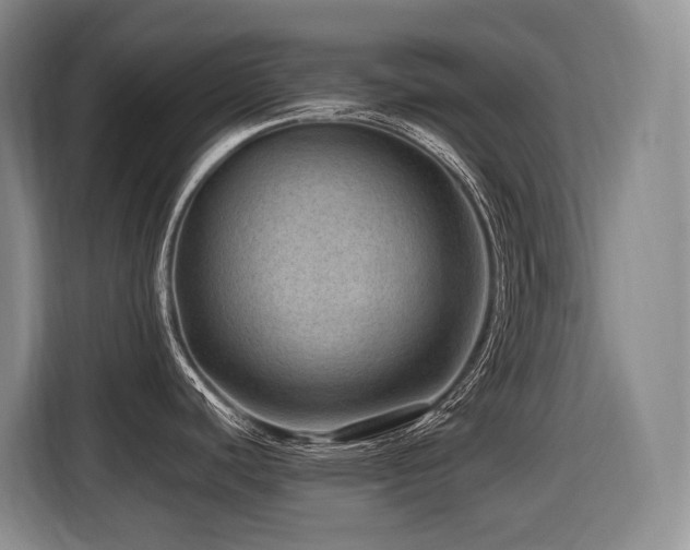 X0000116451440200912081608