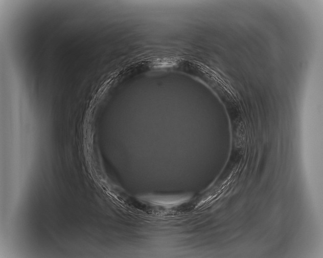 X0000116451441200912081608