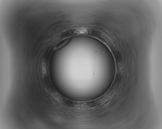 X0000116451442200912081608