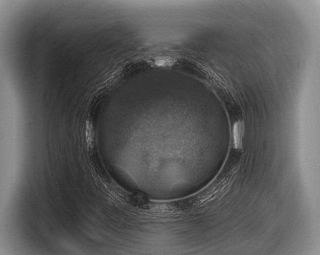X0000116451443200912081608