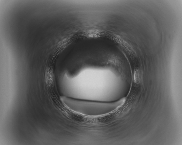 X0000116451444200912081608