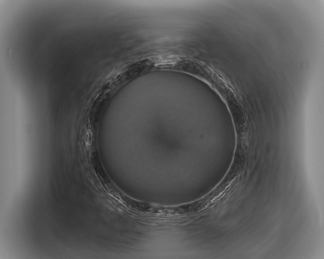 X0000116451445200912081608