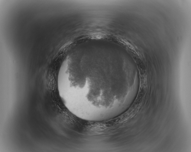 X0000116451446200912081608