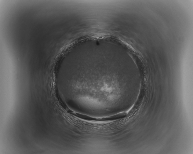 X0000116451447200912081608