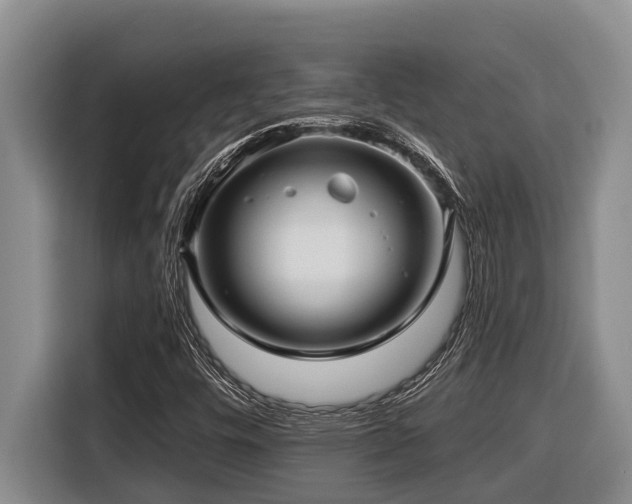 X0000116451448200912081608