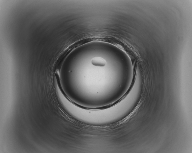 X0000116451449200912081608
