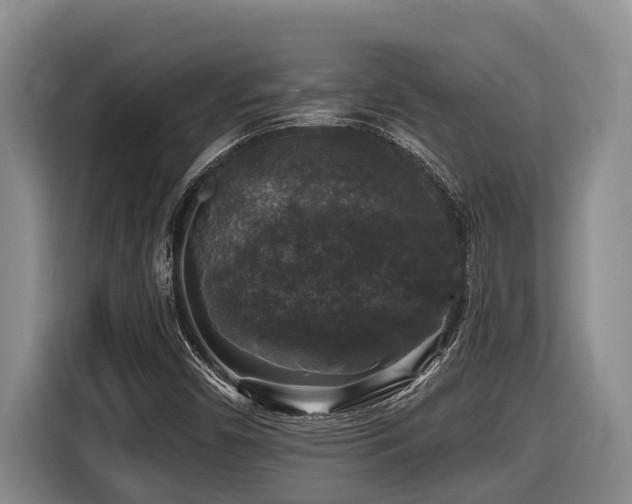 X0000116451450200912081608