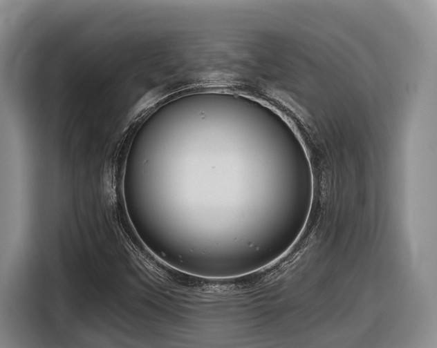 X0000116451451200912081608