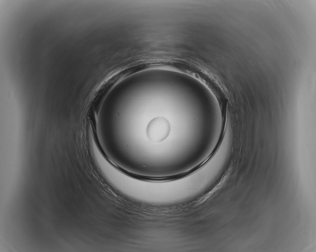 X0000116451453200912081608