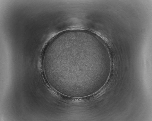 X0000116451454200912081608