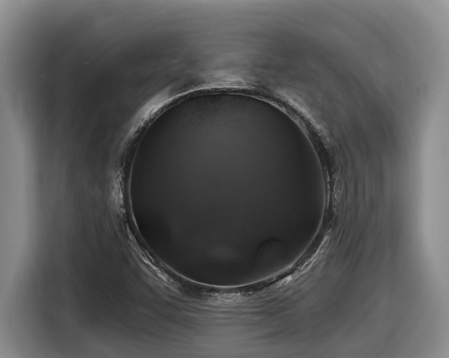 X0000116451455200912081608