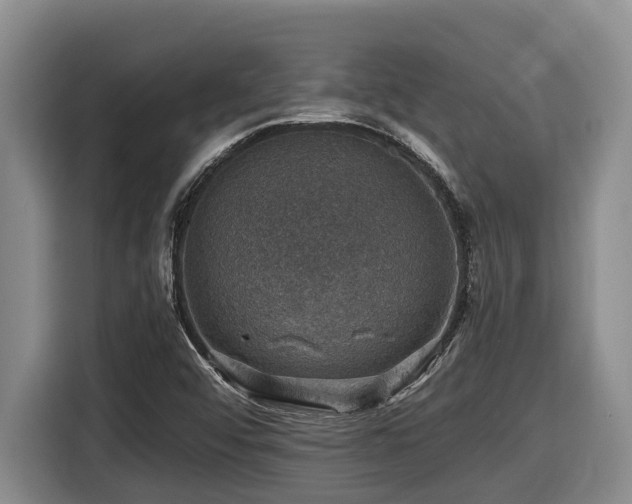 X0000116451456200912081608