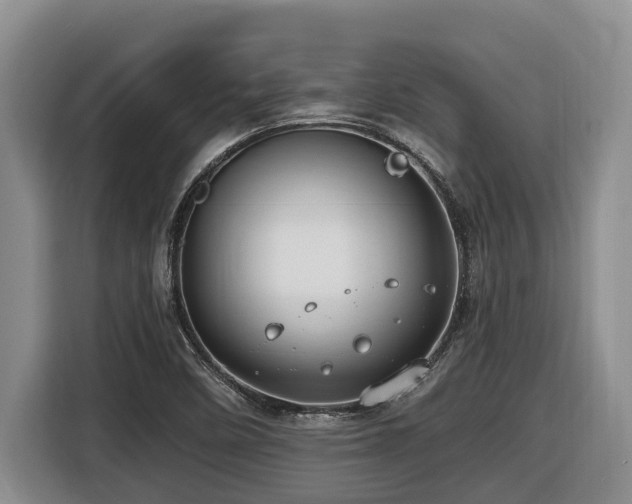 X0000116451458200912081608