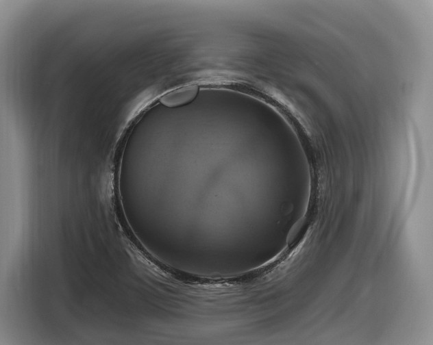 X0000116451459200912081608